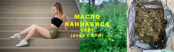 молекула духа Надым
