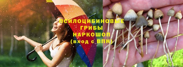 2c-b Артём