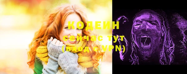 молекула духа Надым