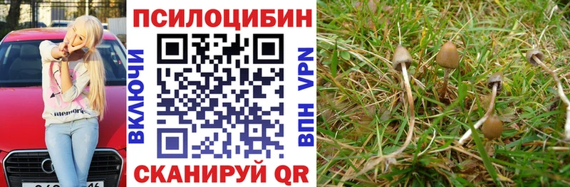 Псилоцибиновые грибы Cubensis ОМГ ОМГ вход Ливны