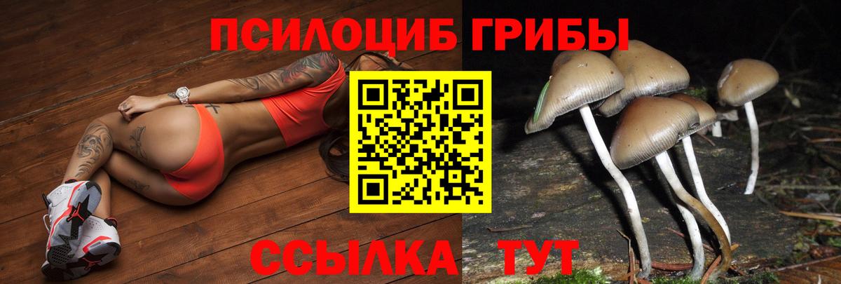 Псилоцибиновые грибы GOLDEN TEACHER  Вход с VPN  Ливны 